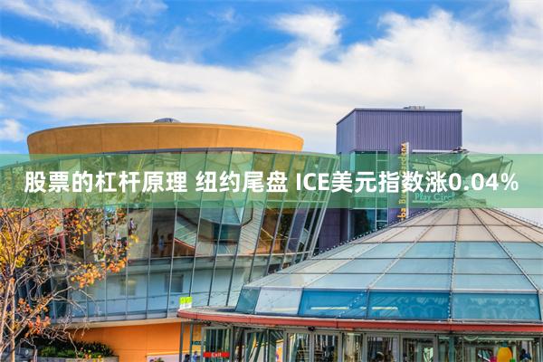 股票的杠杆原理 纽约尾盘 ICE美元指数涨0.04%