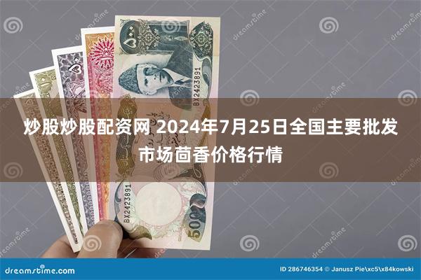 炒股炒股配资网 2024年7月25日全国主要批发市场茴香价格行情