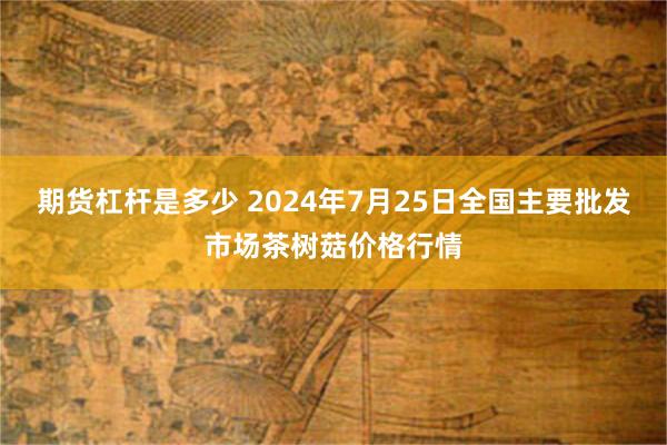 期货杠杆是多少 2024年7月25日全国主要批发市场茶树菇价格行情