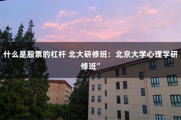 什么是股票的杠杆 北大研修班：北京大学心理学研修班”