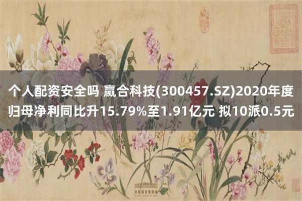 个人配资安全吗 赢合科技(300457.SZ)2020年度归母净利同比升15.79%至1.91亿元 拟10派0.5元