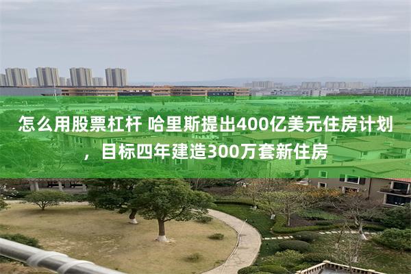 怎么用股票杠杆 哈里斯提出400亿美元住房计划，目标四年建造300万套新住房