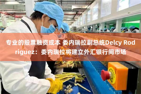 专业的股票融资成本 委内瑞拉副总统Delcy Rodriguez：委内瑞拉将建立外汇银行间市场