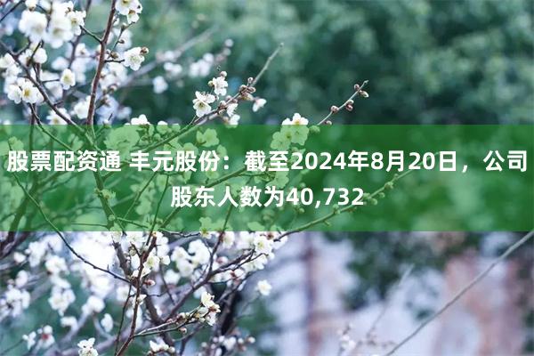 股票配资通 丰元股份：截至2024年8月20日，公司股东人数为40,732