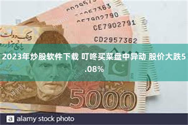 2023年炒股软件下载 叮咚买菜盘中异动 股价大跌5.08%