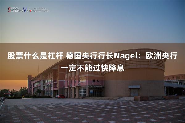 股票什么是杠杆 德国央行行长Nagel：欧洲央行一定不能过快降息