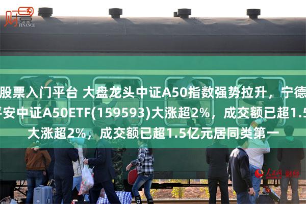 股票入门平台 大盘龙头中证A50指数强势拉升，宁德时代涨超3%，平安中证A50ETF(159593)大涨超2%，成交额已超1.5亿元居同类第一