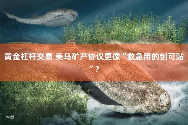 黄金杠杆交易 美乌矿产协议更像“救急用的创可贴”?