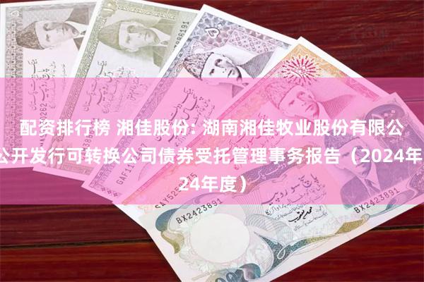 配资排行榜 湘佳股份: 湖南湘佳牧业股份有限公司公开发行可转换公司债券受托管理事务报告（2024年度）