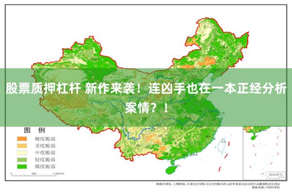 股票质押杠杆 新作来袭！连凶手也在一本正经分析案情？！